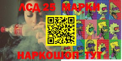 spice Кингисепп