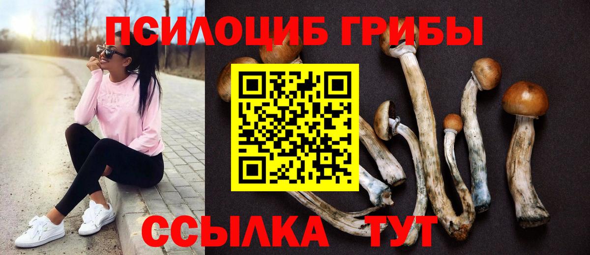 Псилоцибиновые грибы Magic Shrooms Красногорск