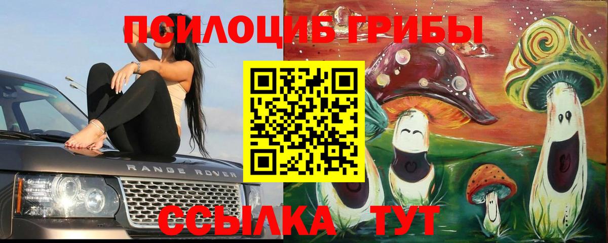 Красногорск  Псилоцибиновые грибы Magic Shrooms  Вход с VPN 